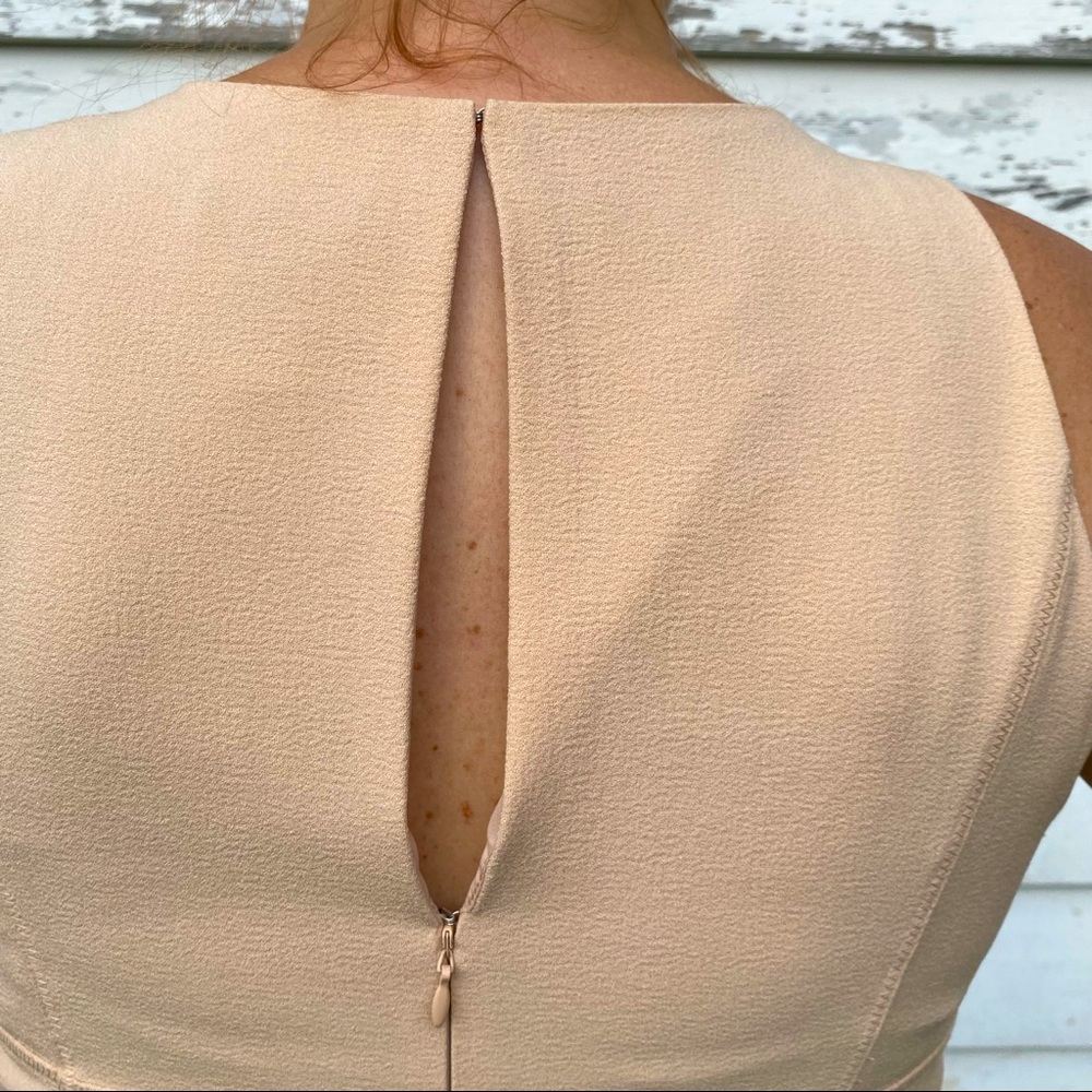 Ann Taylor Fit and Flare Cream and Black Dress sz 12 - Picture 5 of 13